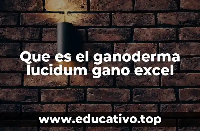 Que es el ganoderma lucidum gano excel