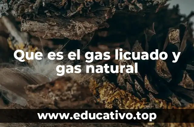 Que es el gas licuado y gas natural