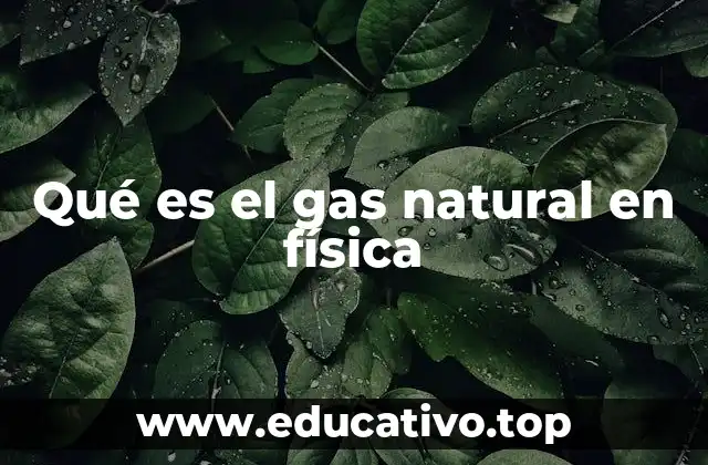 Qué es el gas natural en física