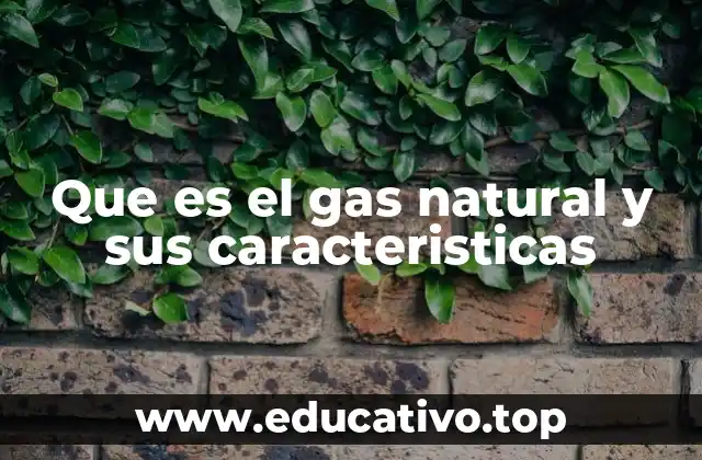 Que es el gas natural y sus caracteristicas