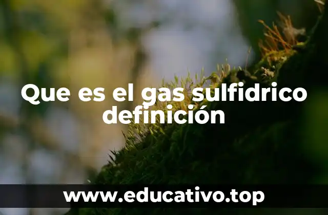 Que es el gas sulfidrico definición