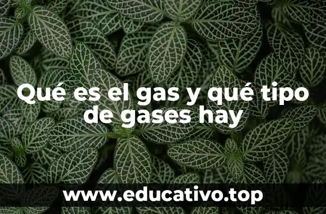 Qué es el gas y qué tipo de gases hay