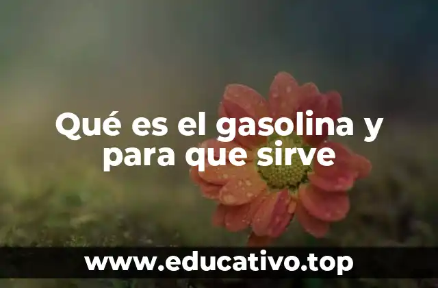 Qué es el gasolina y para que sirve