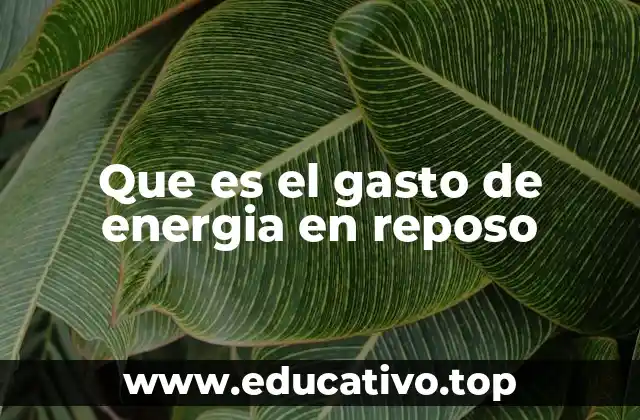 Cómo el cuerpo utiliza energía sin realizar actividad física