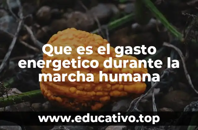 Que es el gasto energetico durante la marcha humana