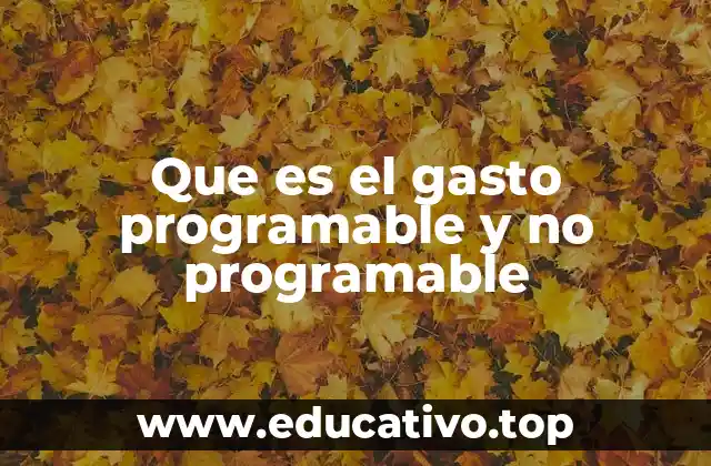Que es el gasto programable y no programable