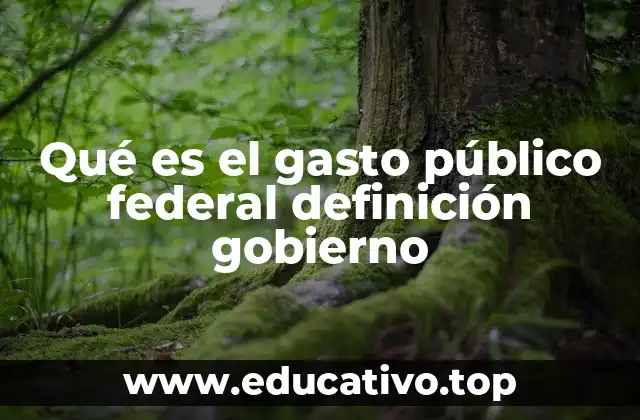 Qué es el gasto público federal definición gobierno
