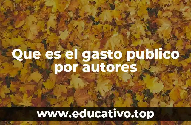 Que es el gasto publico por autores
