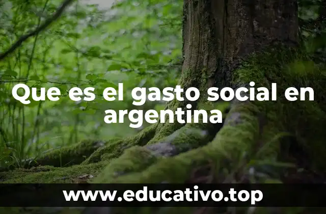 Que es el gasto social en argentina