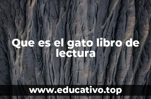 Que es el gato libro de lectura