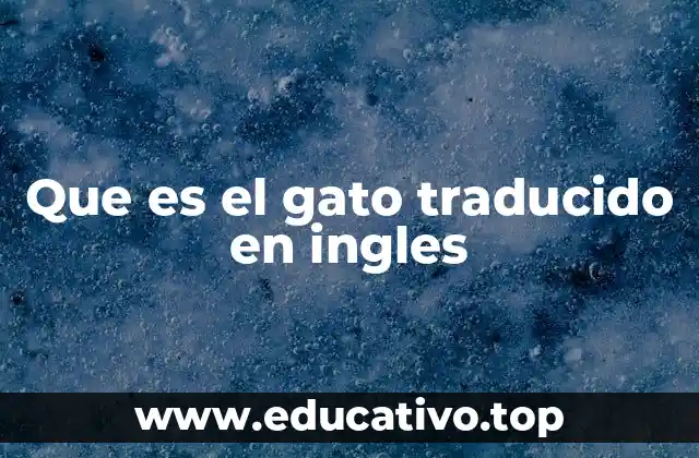 Que es el gato traducido en ingles