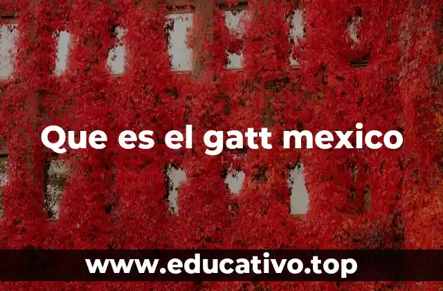 Que es el gatt mexico