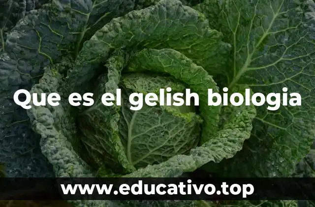 Que es el gelish biologia