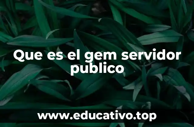Que es el gem servidor publico