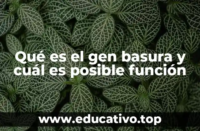 Qué es el gen basura y cuál es posible función