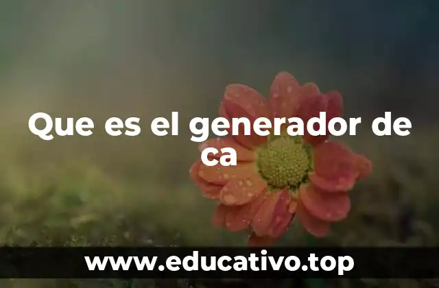 Que es el generador de ca