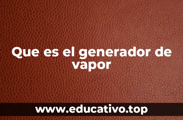 Que es el generador de vapor