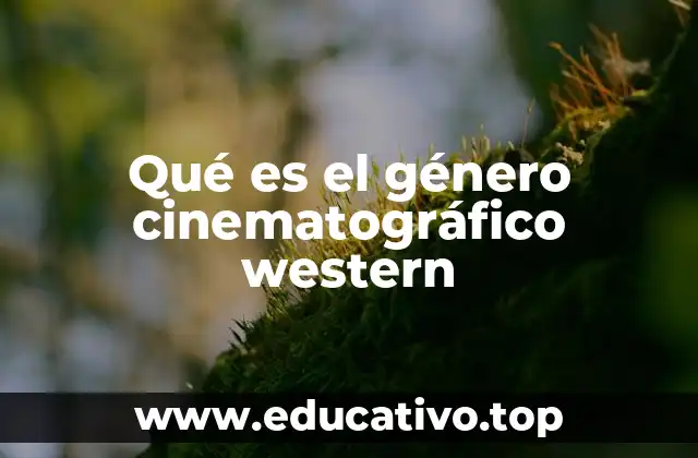 Qué es el género cinematográfico western