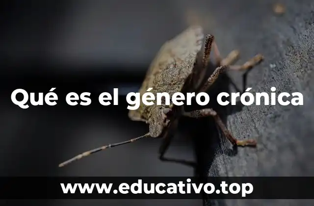 Qué es el género crónica