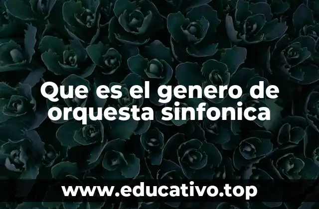 Que es el genero de orquesta sinfonica