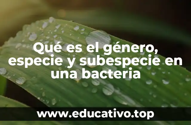 Qué es el género, especie y subespecie en una bacteria