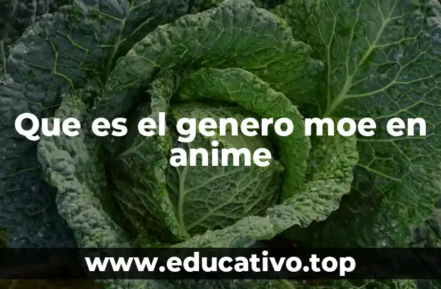 Que es el genero moe en anime