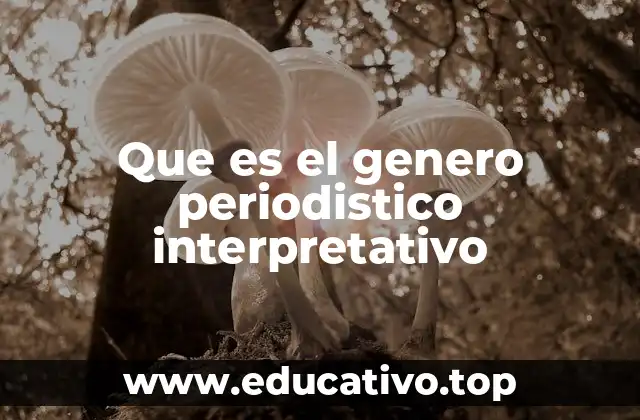 Que es el genero periodistico interpretativo