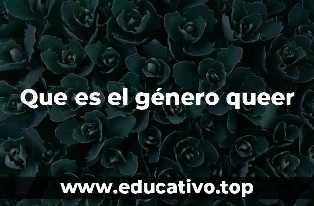 Que es el género queer