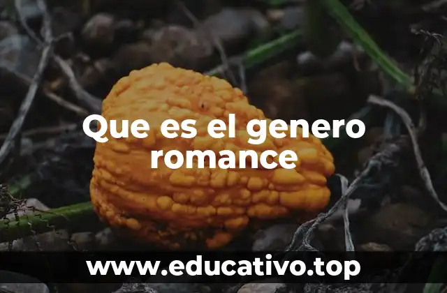Que es el genero romance