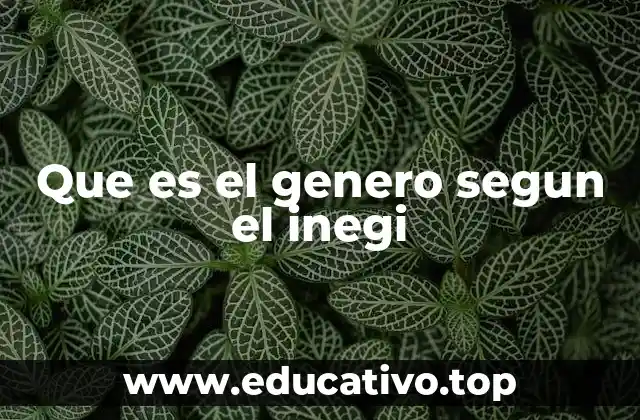 Que es el genero segun el inegi