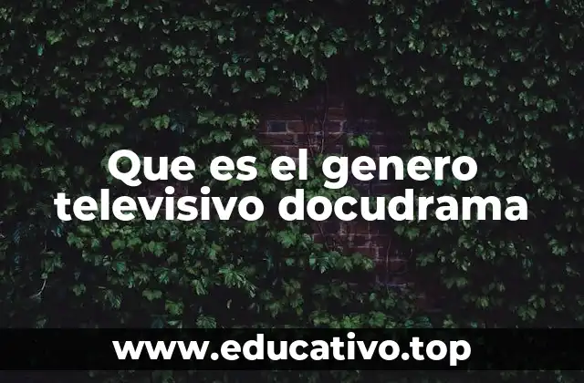 Que es el genero televisivo docudrama