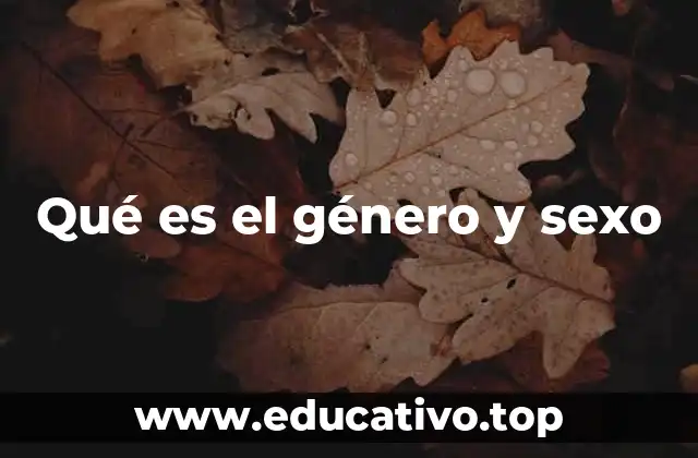 Qué es el género y sexo