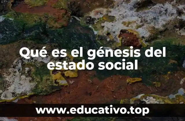 Qué es el génesis del estado social