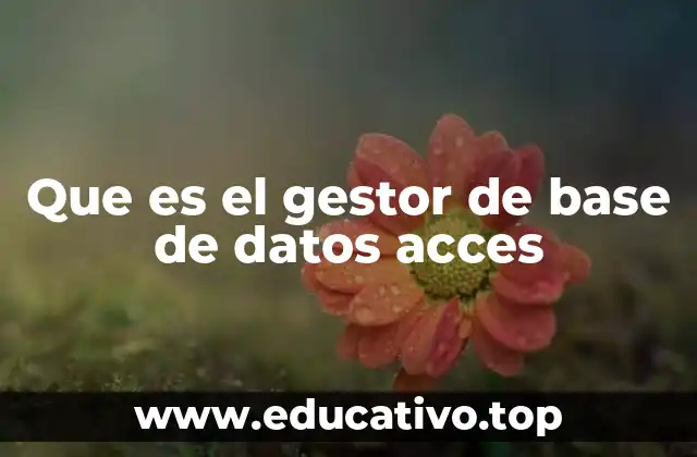 Cómo Access se diferencia de otras herramientas de gestión de datos