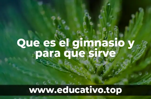 Que es el gimnasio y para que sirve