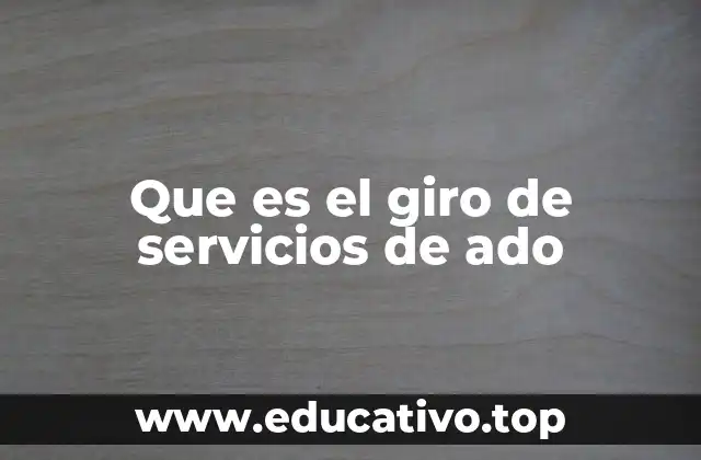 Que es el giro de servicios de ado
