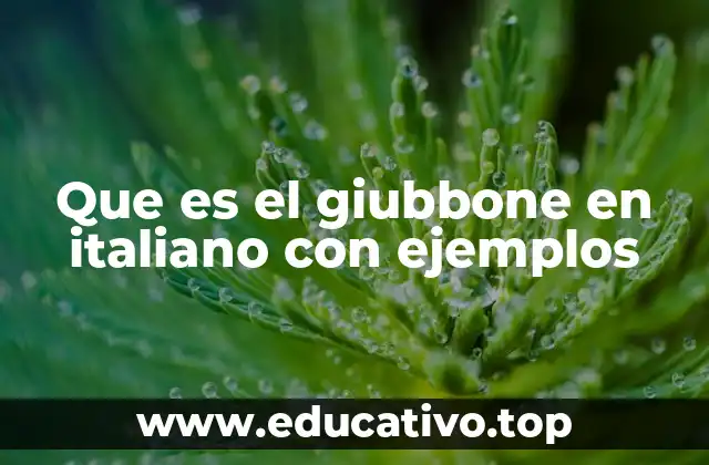 Que es el giubbone en italiano con ejemplos