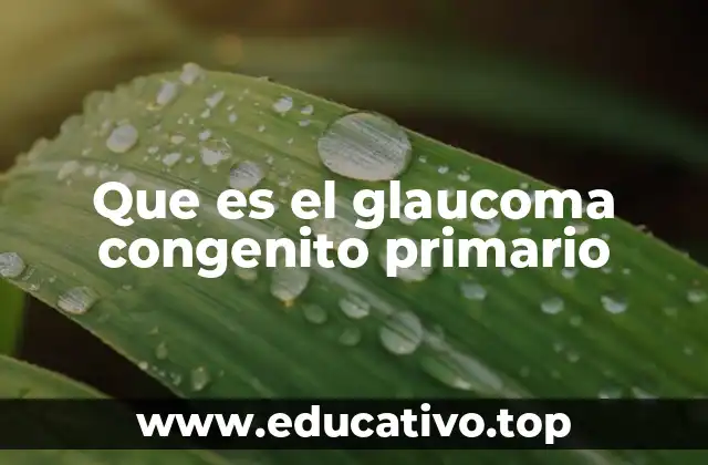 Que es el glaucoma congenito primario