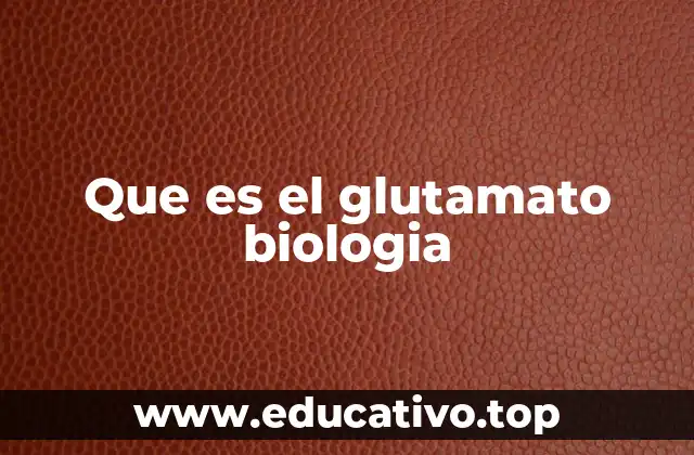 Que es el glutamato biologia