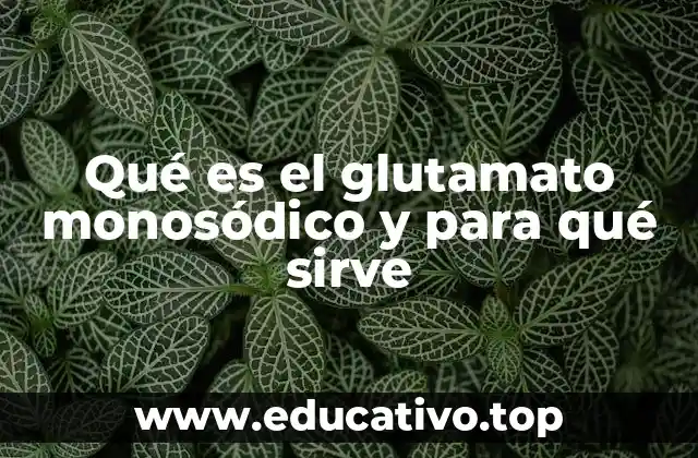Qué es el glutamato monosódico y para qué sirve