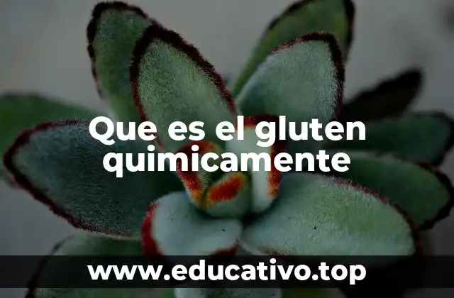 El papel químico del gluten en la industria alimentaria