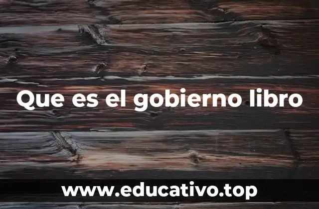 Que es el gobierno libro