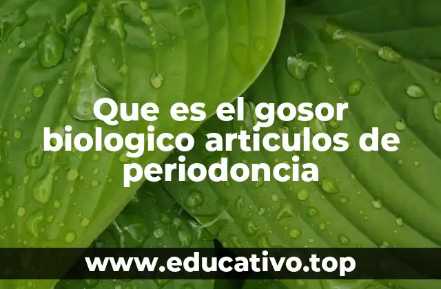 Que es el gosor biologico articulos de periodoncia