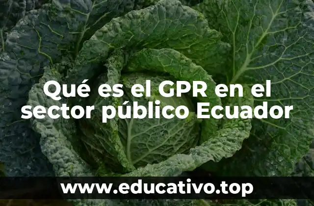 Qué es el GPR en el sector público Ecuador