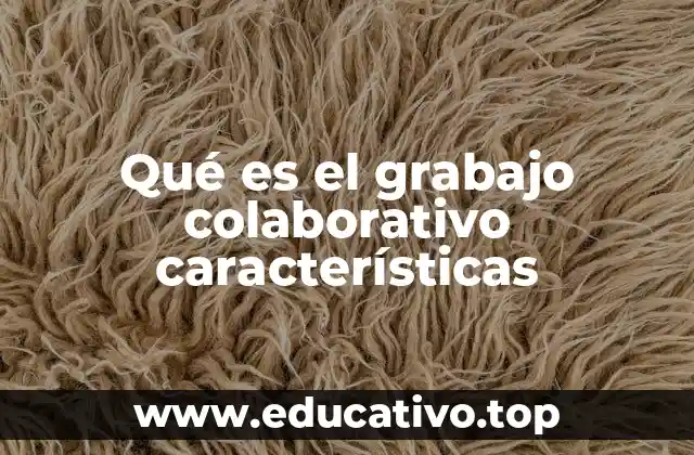 Qué es el grabajo colaborativo características
