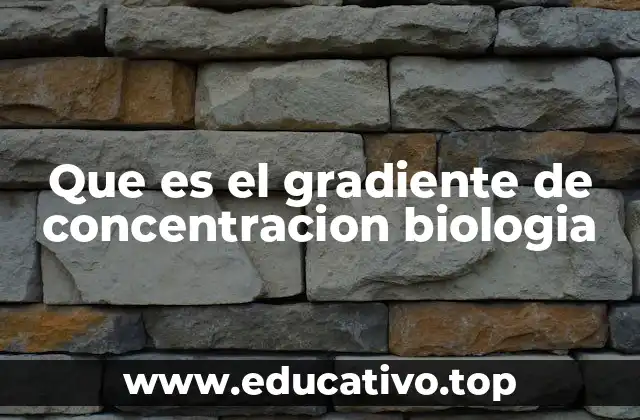 Que es el gradiente de concentracion biologia