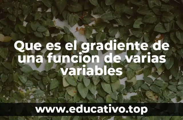 Que es el gradiente de una funcion de varias variables