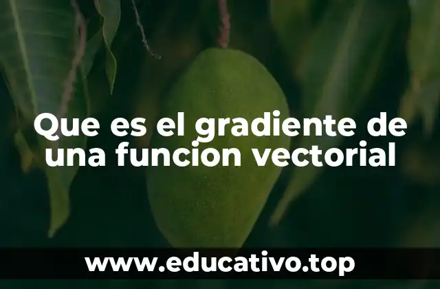 Que es el gradiente de una funcion vectorial