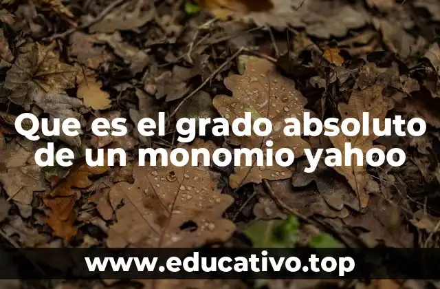 Que es el grado absoluto de un monomio yahoo