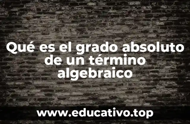 Qué es el grado absoluto de un término algebraico